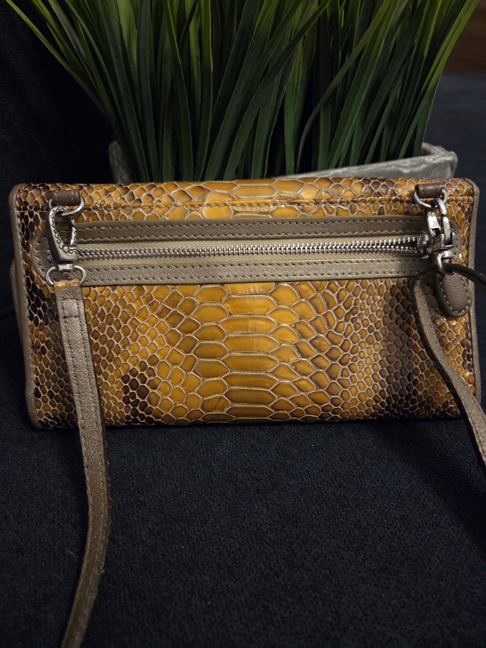 Brighton Gold Snake-Embossed Crossbody Wallet with Silver-Tone Accent - Picture 2 of 14